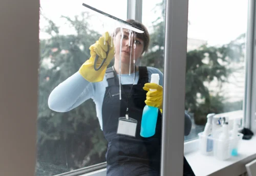 Nettoyage de vitres intérieures et extérieures à Alloue